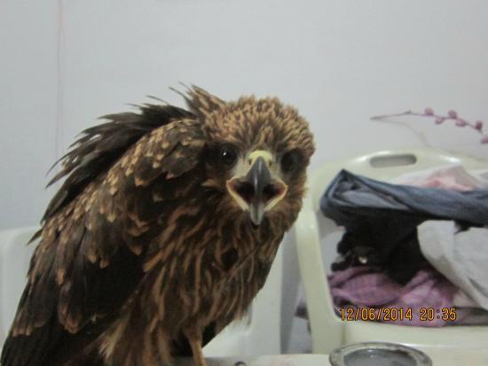 Zoológico de Islamabad